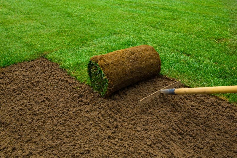 Artificial Grass Installation Services Dubai